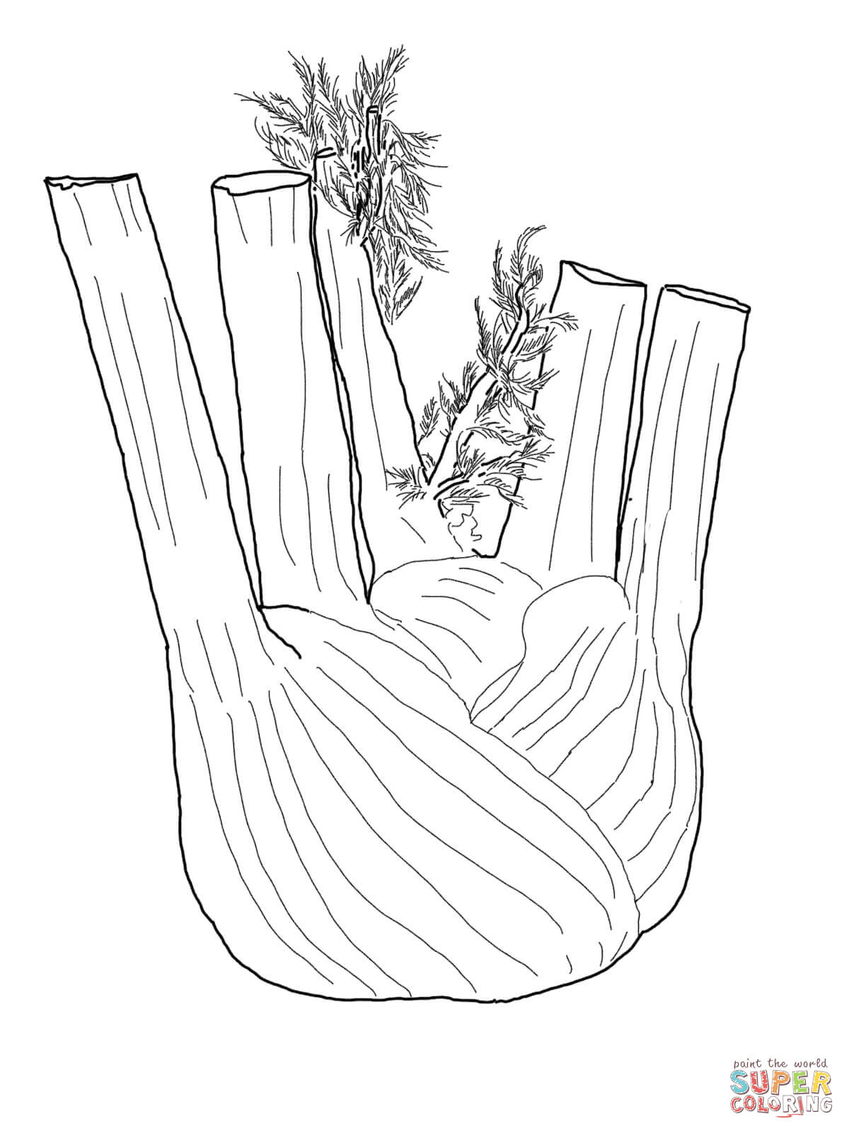 Fennel root coloring page free printable coloring pages