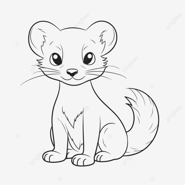 Cartoon drawing of a small ferret coloring page outline sketch vector car drawing cartoon drawing wing drawing png and vector with transparent background for free download