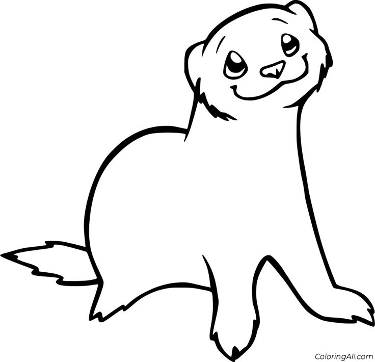 Free printable ferret coloring pages in vector format easy to print from any device and automatically fit any pâ coloring pages ferret colors simple cartoon