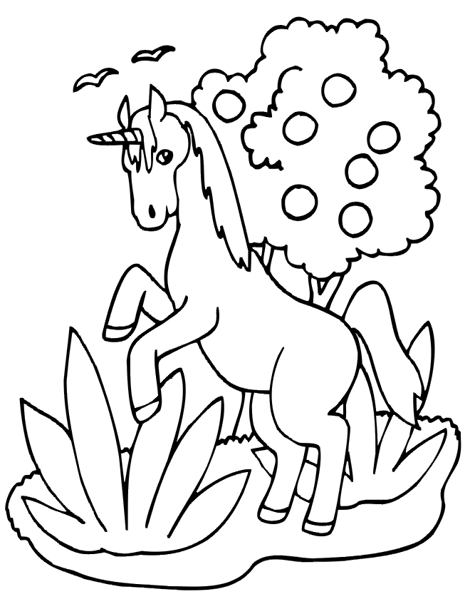 Unicorn coloring page unicorn in field