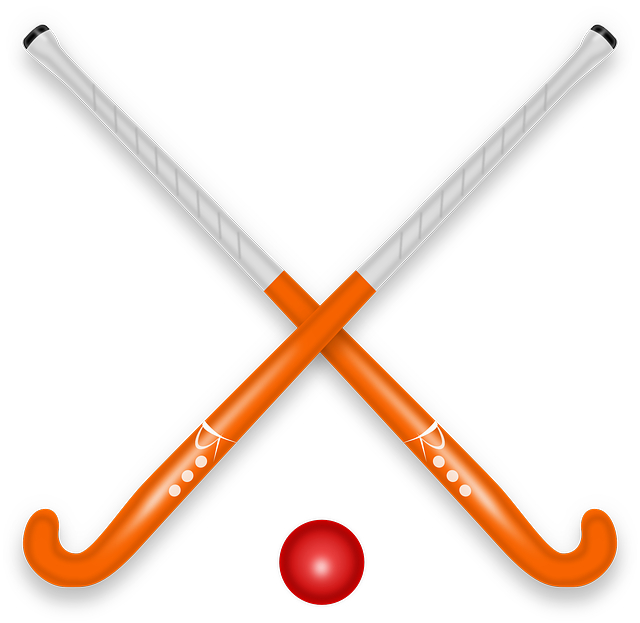 Hockey sticks crossed and puck sport vector illustration drawing lor stock vector