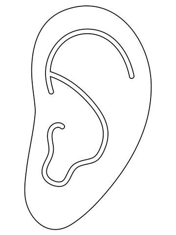 Ear coloring page free printable coloring pages