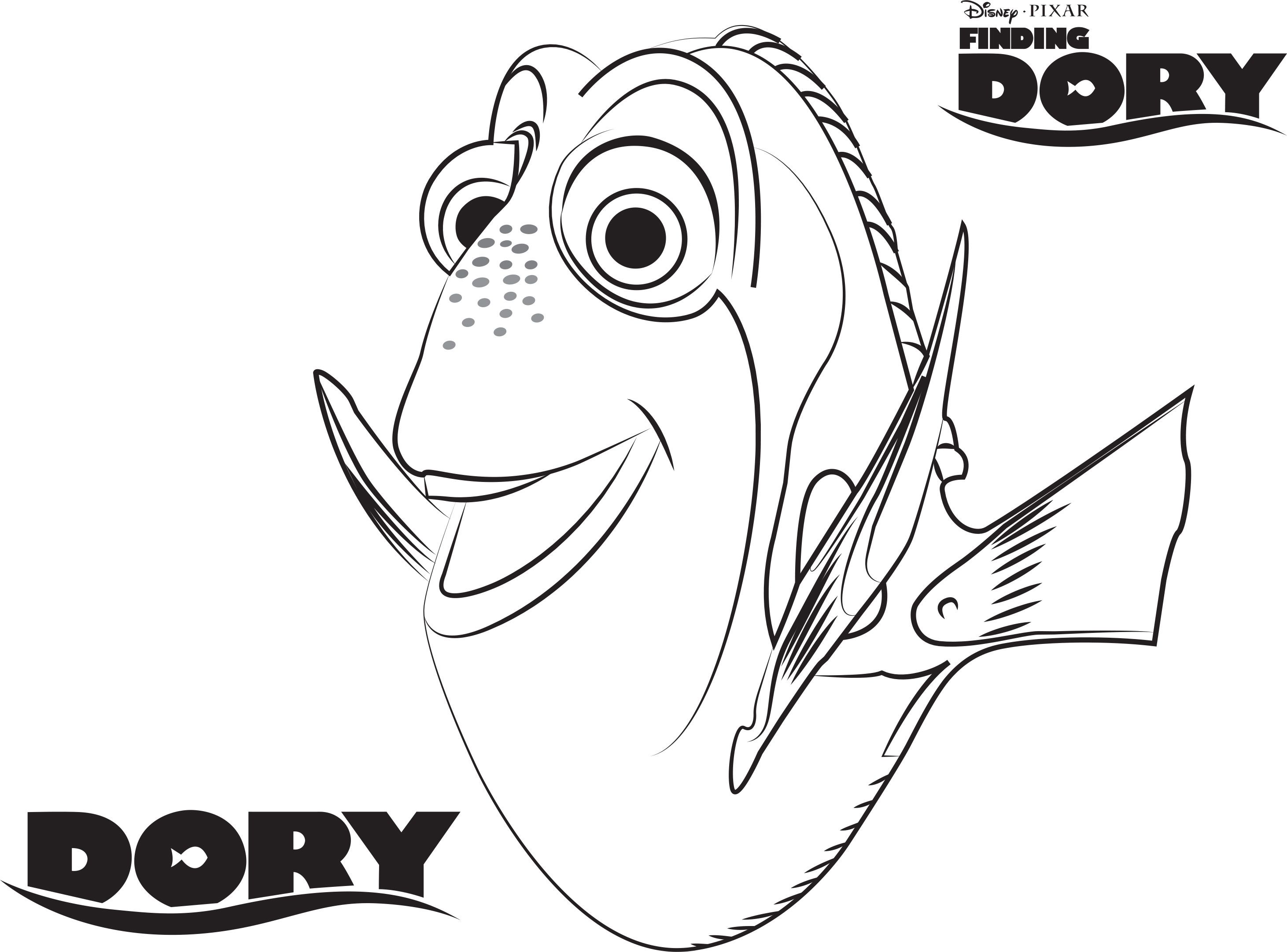 Disneys finding dory coloring pages sheet free disney printable finding dory color page ããã ãããºãã åãçµµ ãããºãã