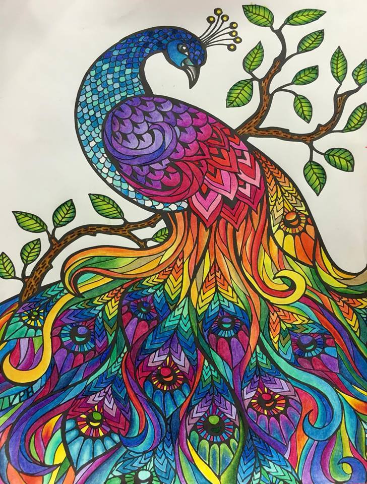 Best adult coloring books on