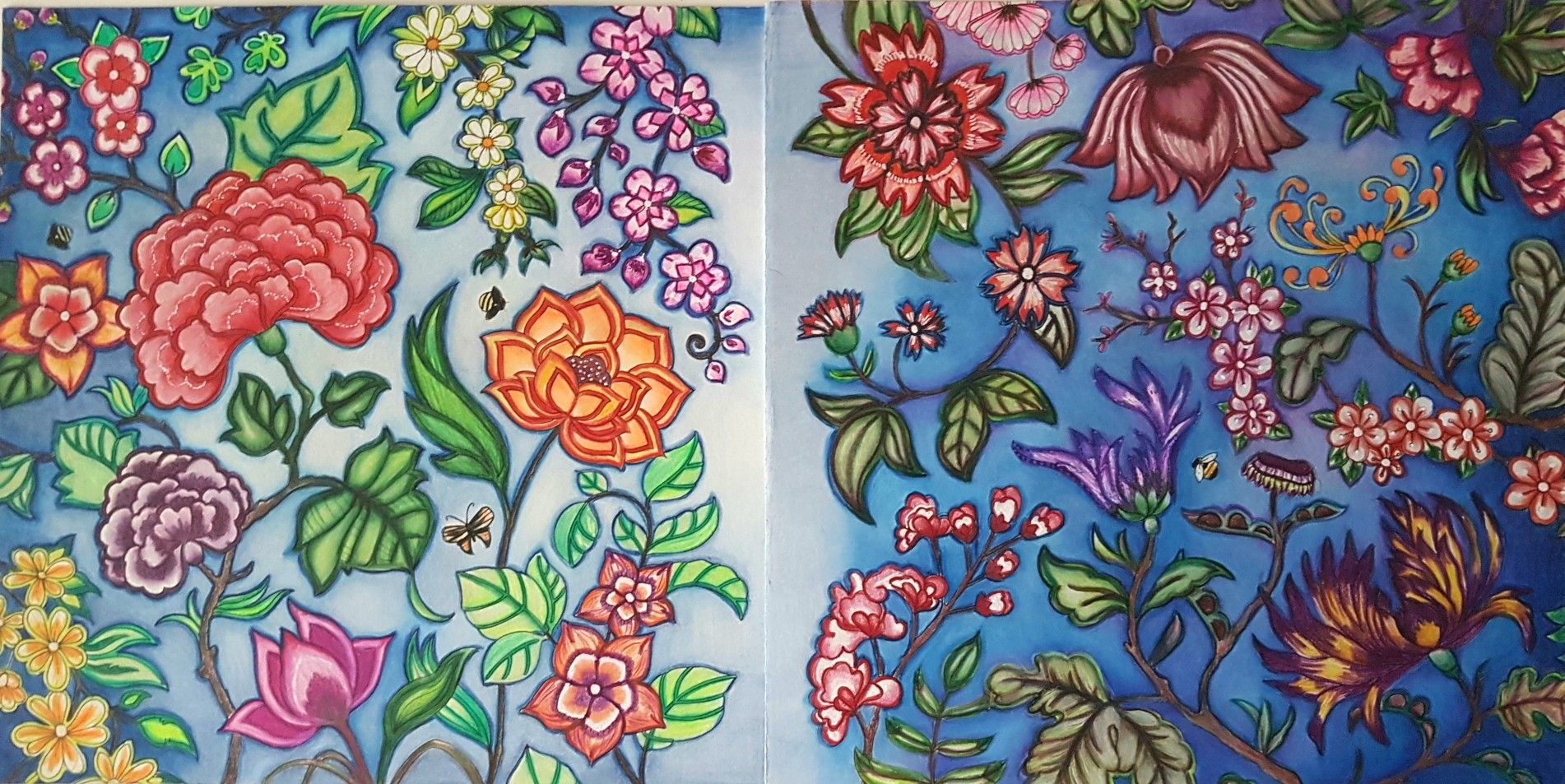 Double page finished johanna basford coloringbooks world of flowers prismacolor johanna basford johanna basford coloring basford coloring