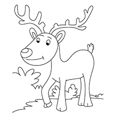 Top free printable reindeer coloring pages online