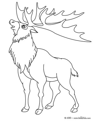 Reindeer coloring pages