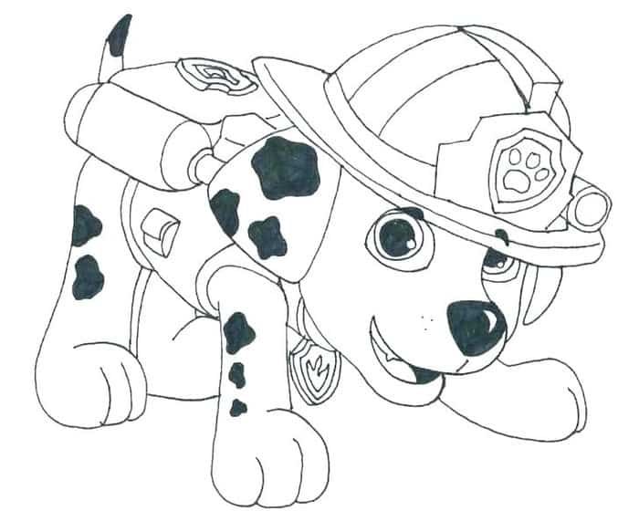 Dalmatian fire dog coloring pages paw patrol coloring pages paw patrol coloring coloring pages to print