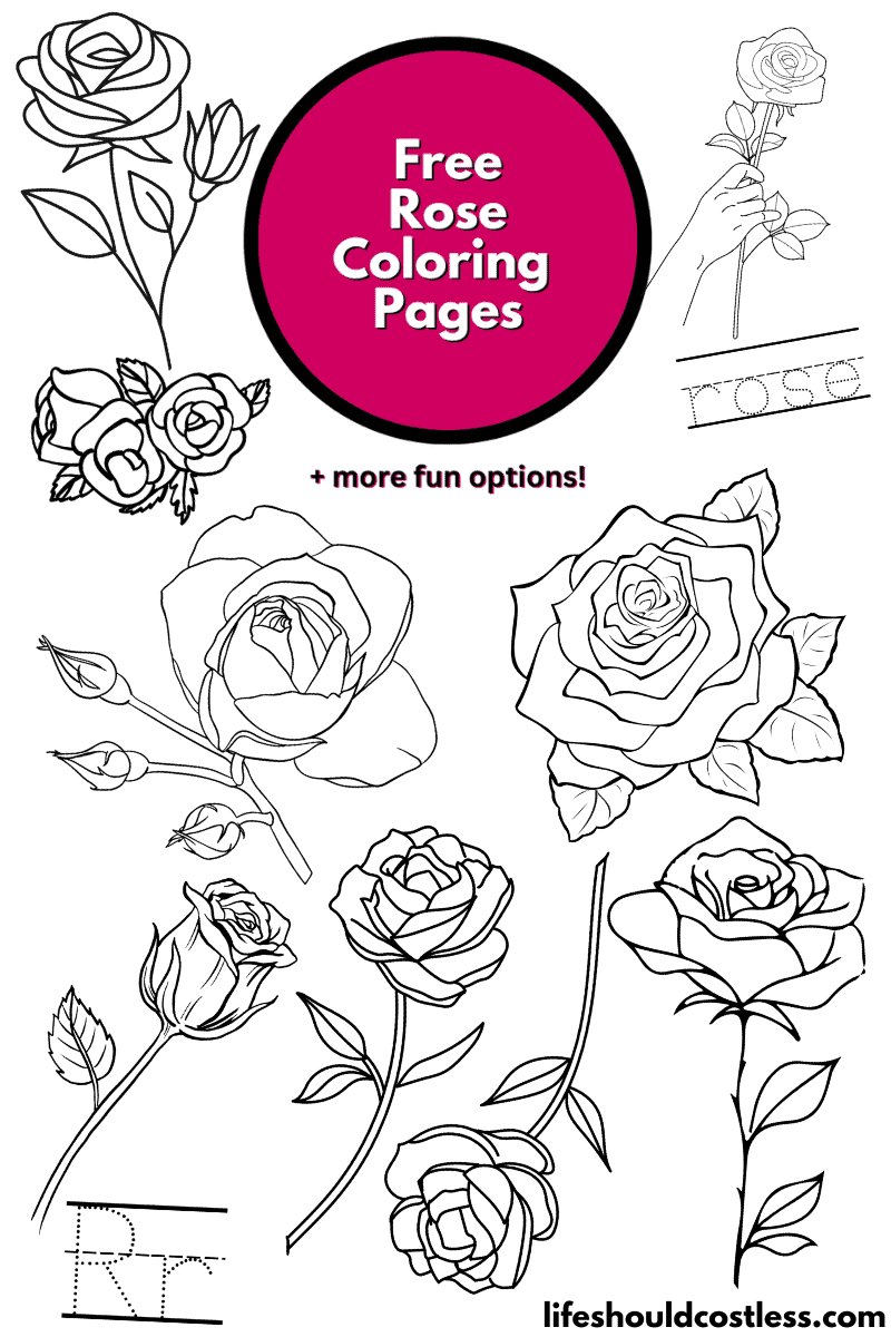 Rose coloring pages free printable pdf templates