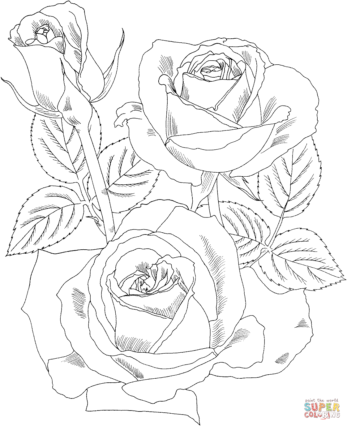 Peace hybrid tea rose coloring page free printable coloring pages