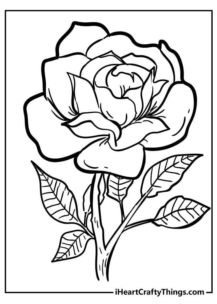 Rose coloring pages free printables