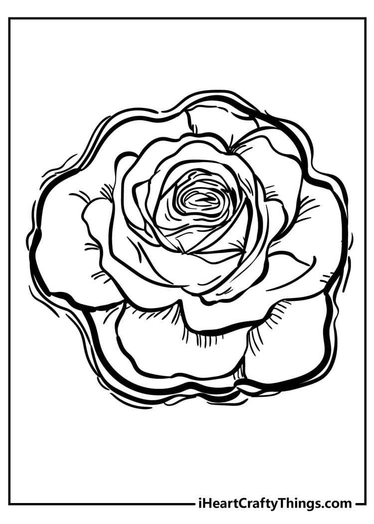 Rose coloring pages free printables