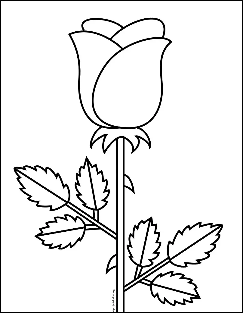 Easy how to draw a rose tutorial video and rose coloring page