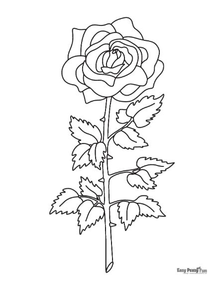 Printable rose coloring pages