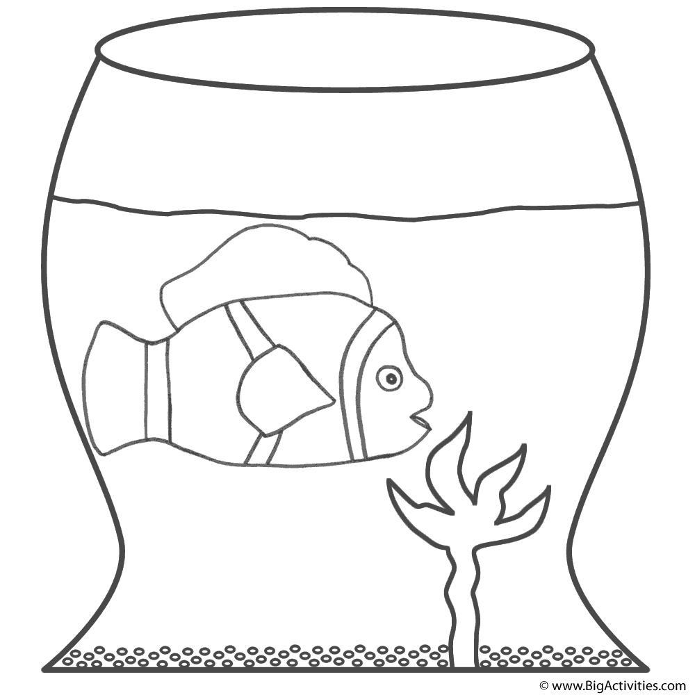 Clown fish in fish bowl