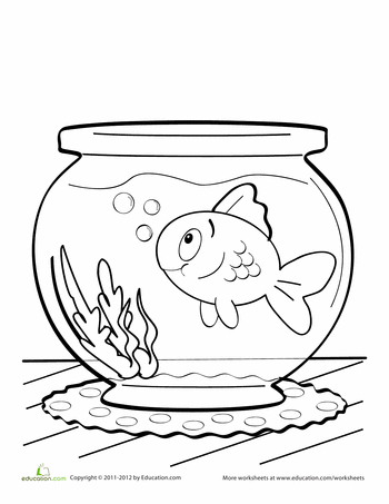 Fish bowl worksheet education fish coloring page hello kitty colouring pages animal coloring pages