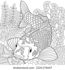 Koi fish coloring page outline sea stock vector royalty free