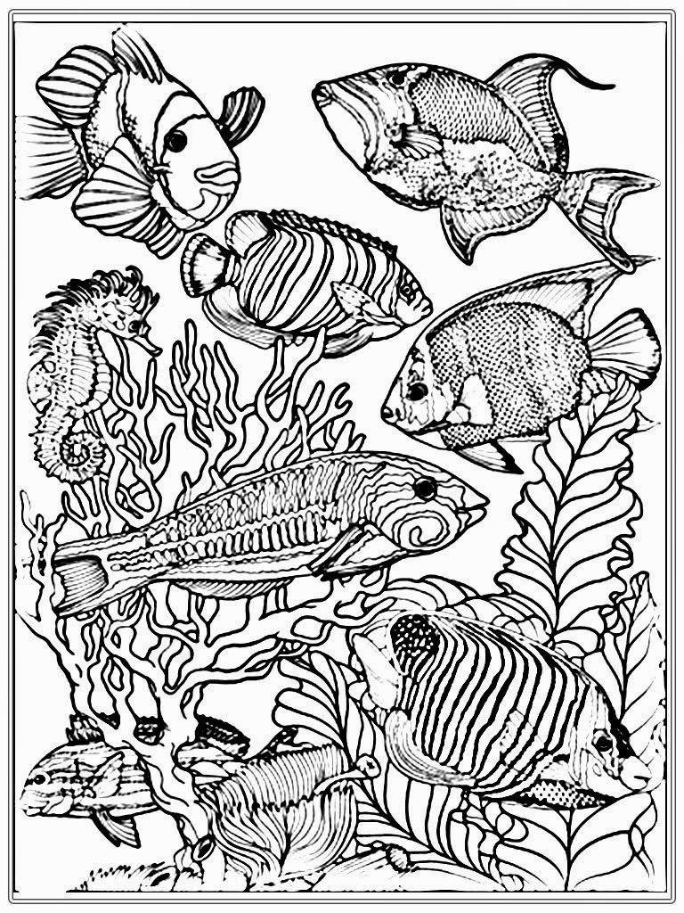 Fish coloring page ocean coloring pages mermaid coloring pages