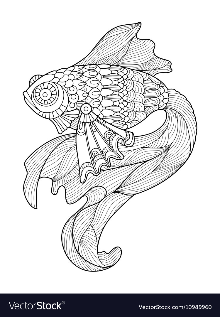 Gold fish coloring book for adults royalty free vector image