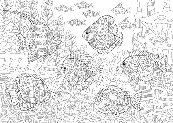 Adult coloring pages fish images stock photos d objects vectors