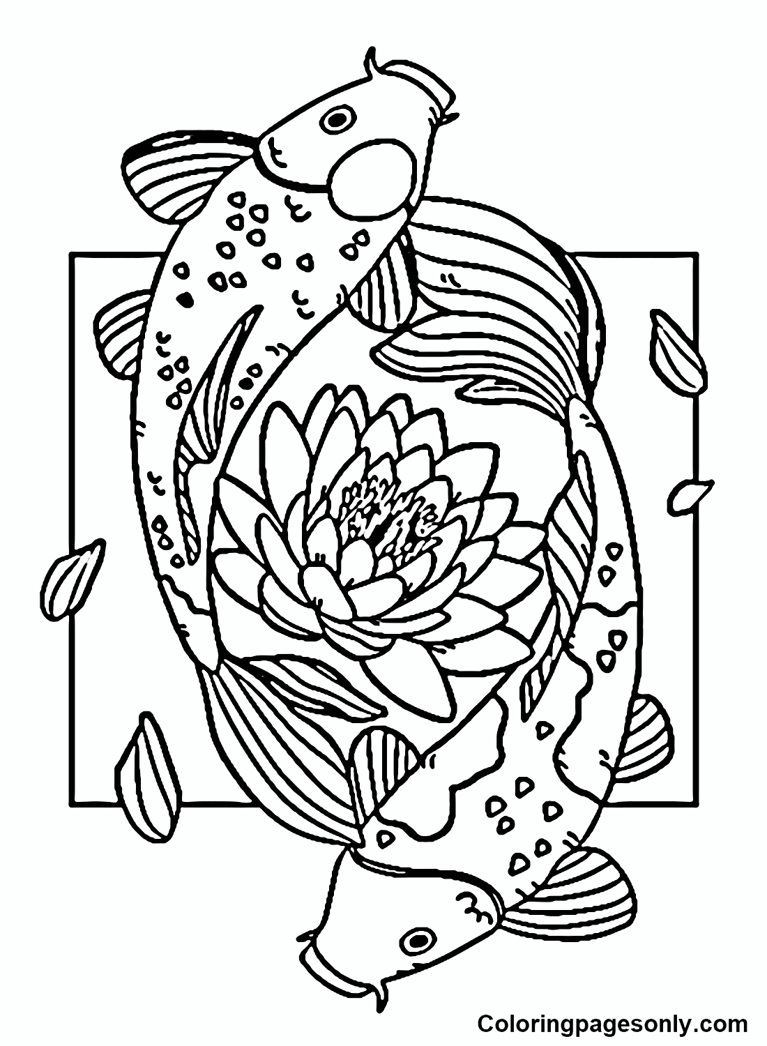 Koi fish coloring pages printable for free download