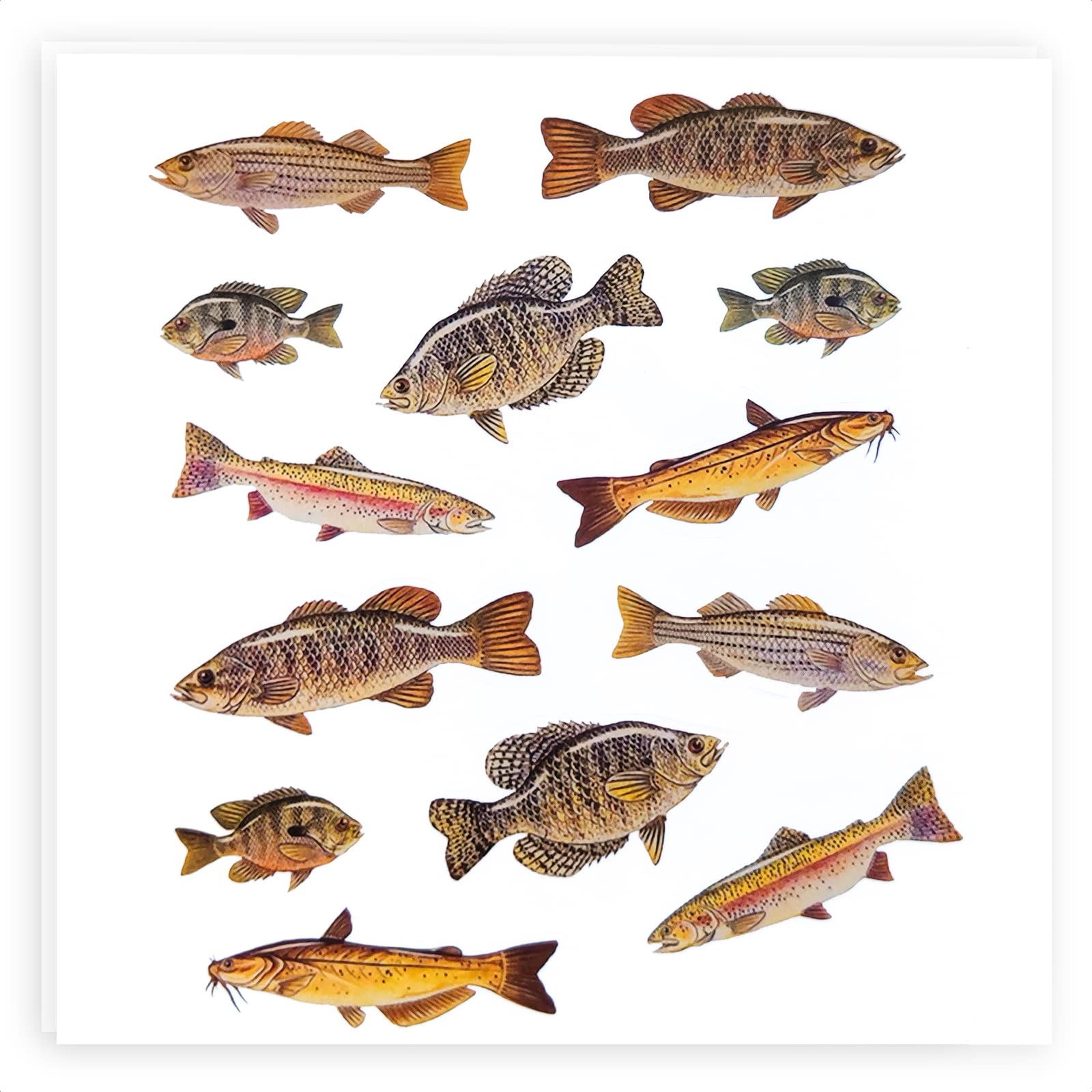 Fish stickers for kids sticker pack