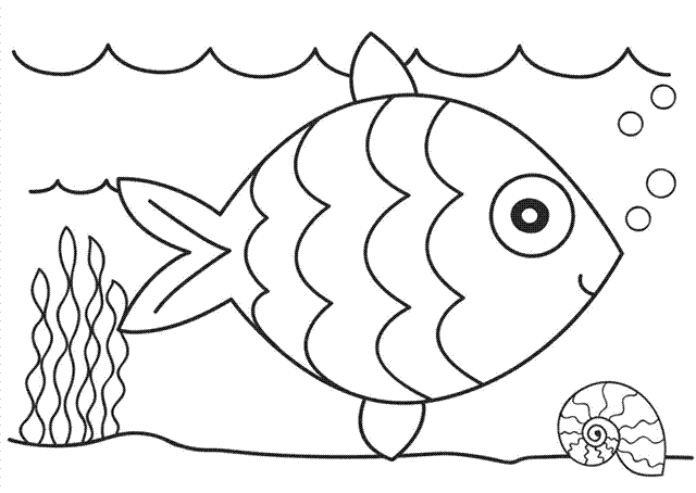 Fish coloring pages team colors
