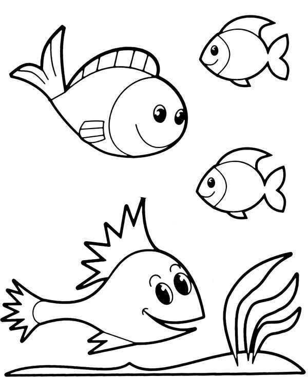 Four fish coloring printables to print or download coloring sheet fish coloring page animal coloring pages easy coloring pages