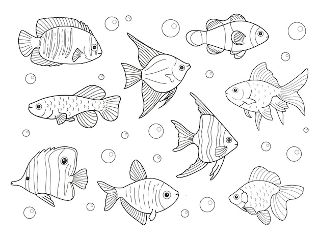 Premium vector printable fish outline coloring pages