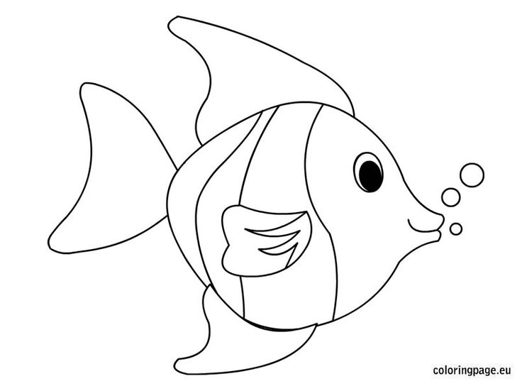 Tropical fish coloring page fish coloring page coloring pages animal coloring books