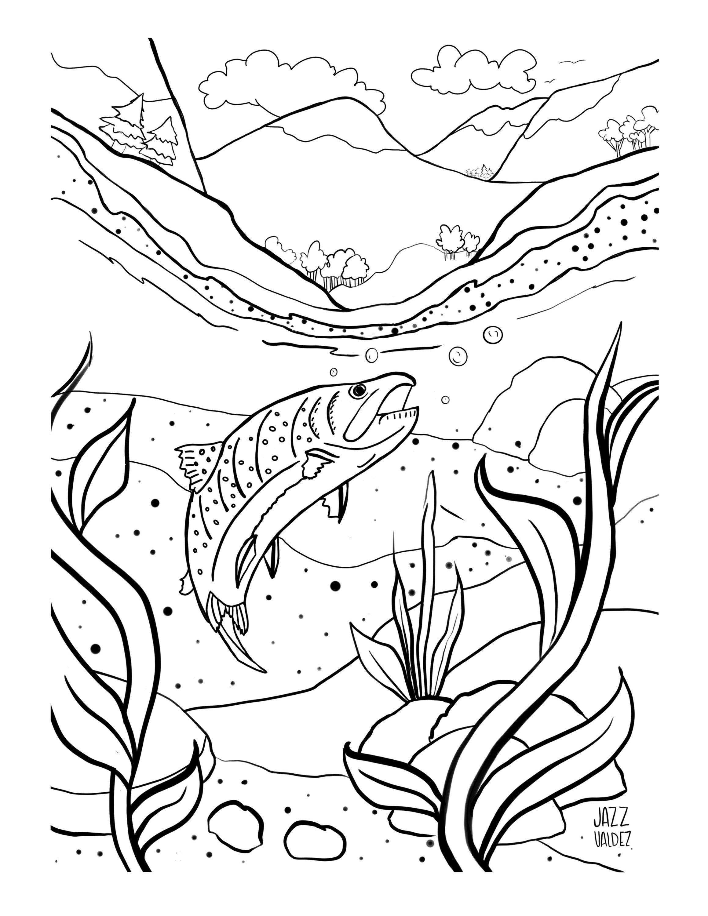 Fish colorado bass coloring page printable illustration download now