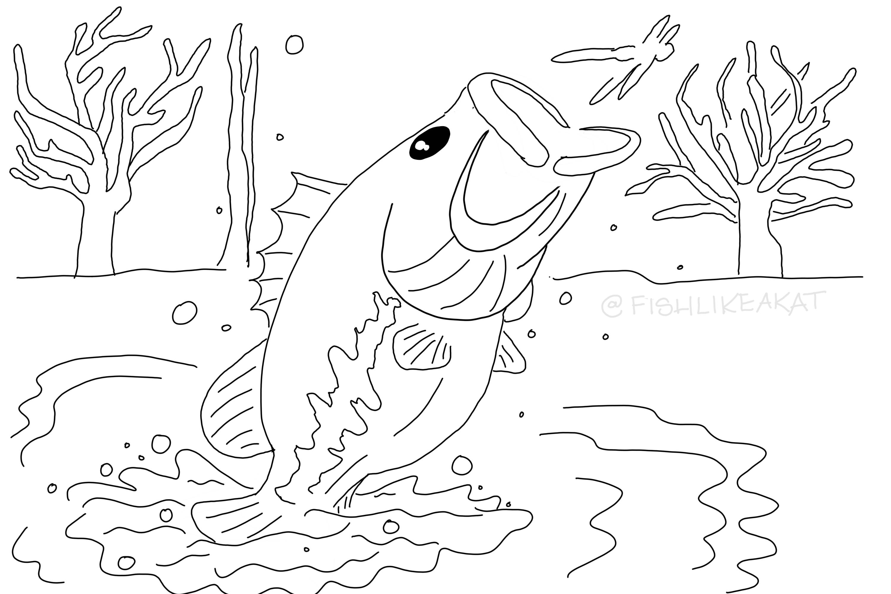 Chillax color free fishing coloring pages