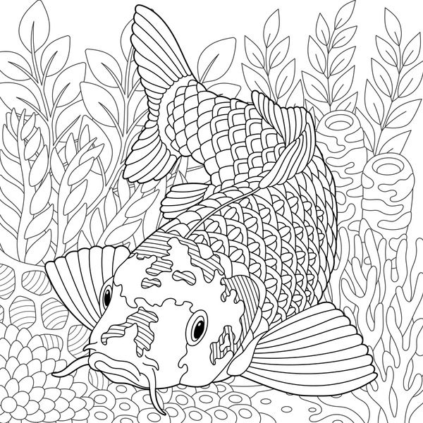 Adult coloring koi fish images stock photos d objects vectors