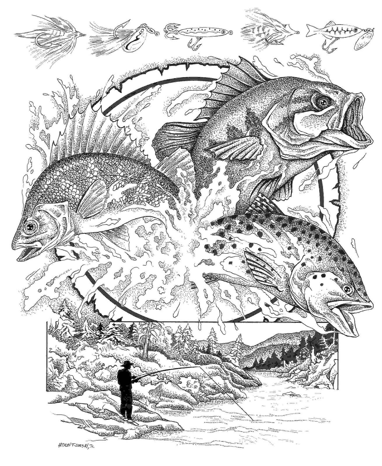 Coloring books animal coloring pages fish coloring page