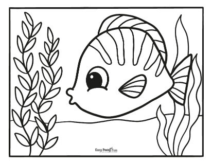 Fish coloring pages