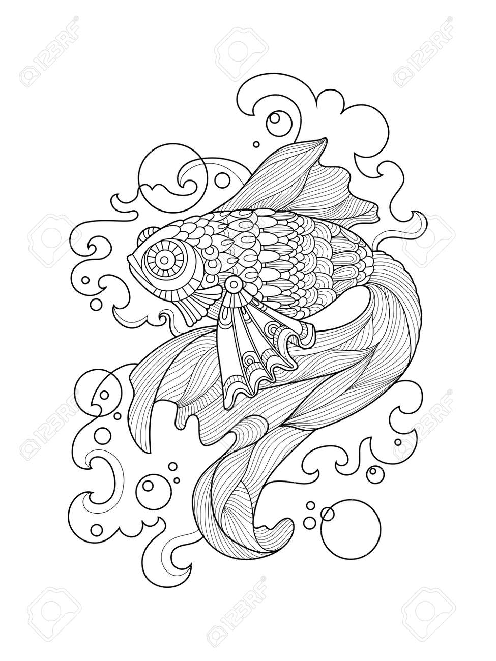 Gold fish coloring book for adults vector illustration anti