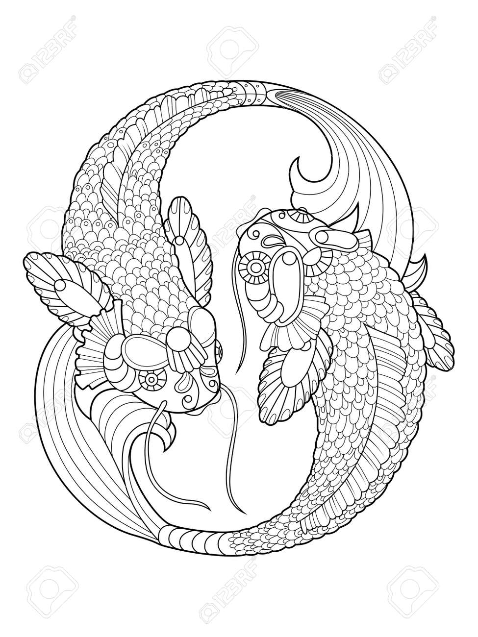 Koi carp fish coloring book for adults vector illustration anti