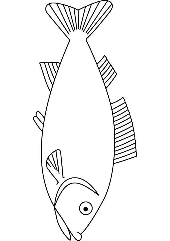 Download free fish coloring page fish coloring page fish patterns coloring pages