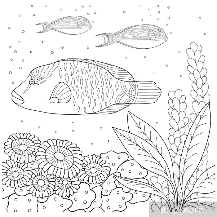 Sticker doodle pattern in black and white marine pattern for coloring book sea fish seaweed bubbles coloring book for children and adults