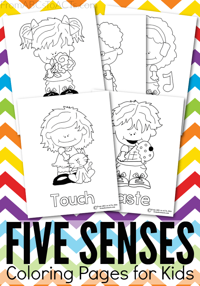 Five senses printable coloring pages