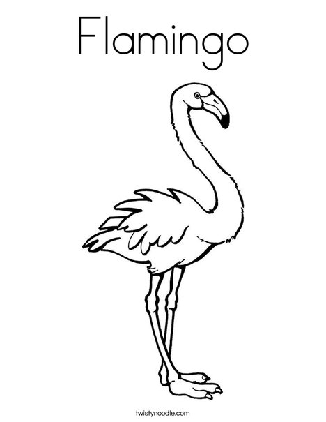 Flamingo coloring page