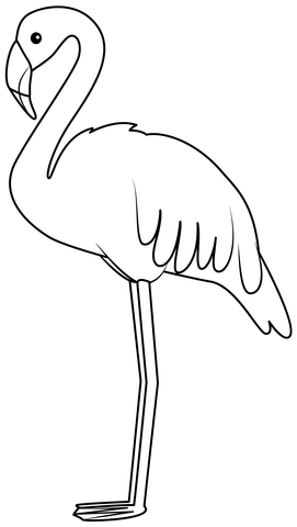 Flamingo coloring page free printable coloring pages