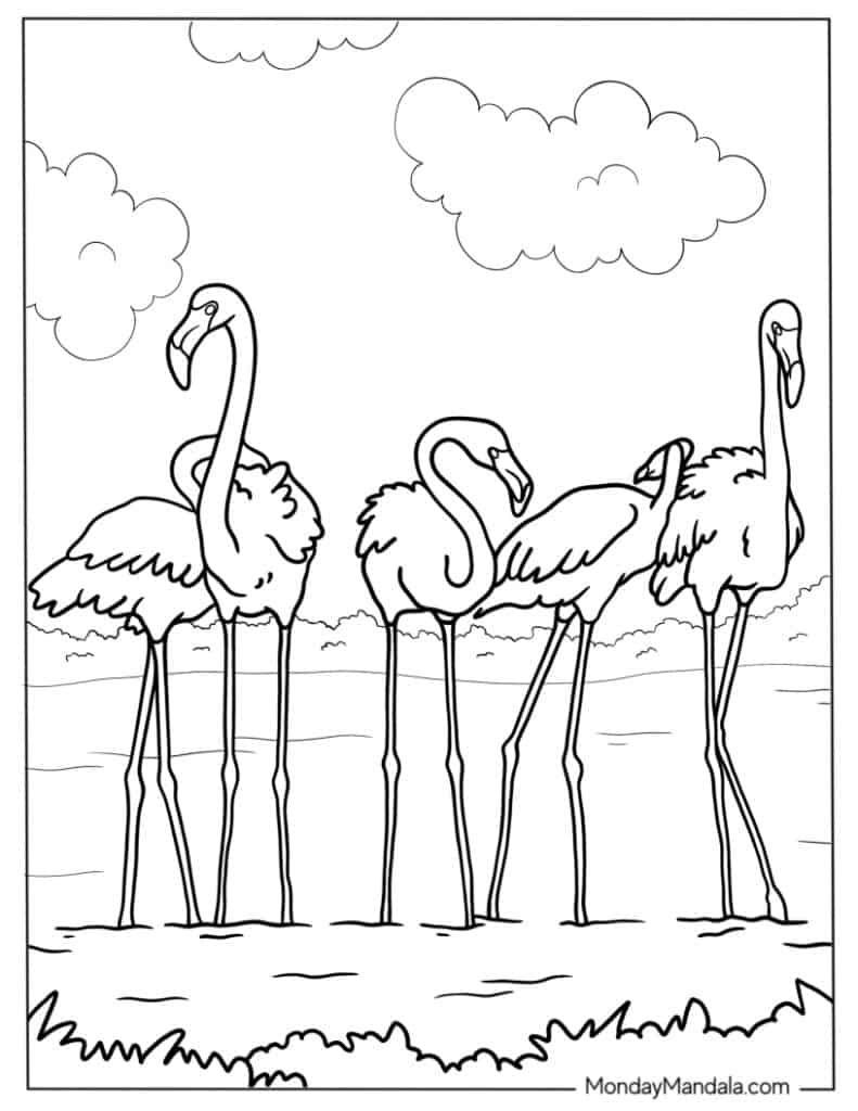 Flamingo coloring pages free pdf printables