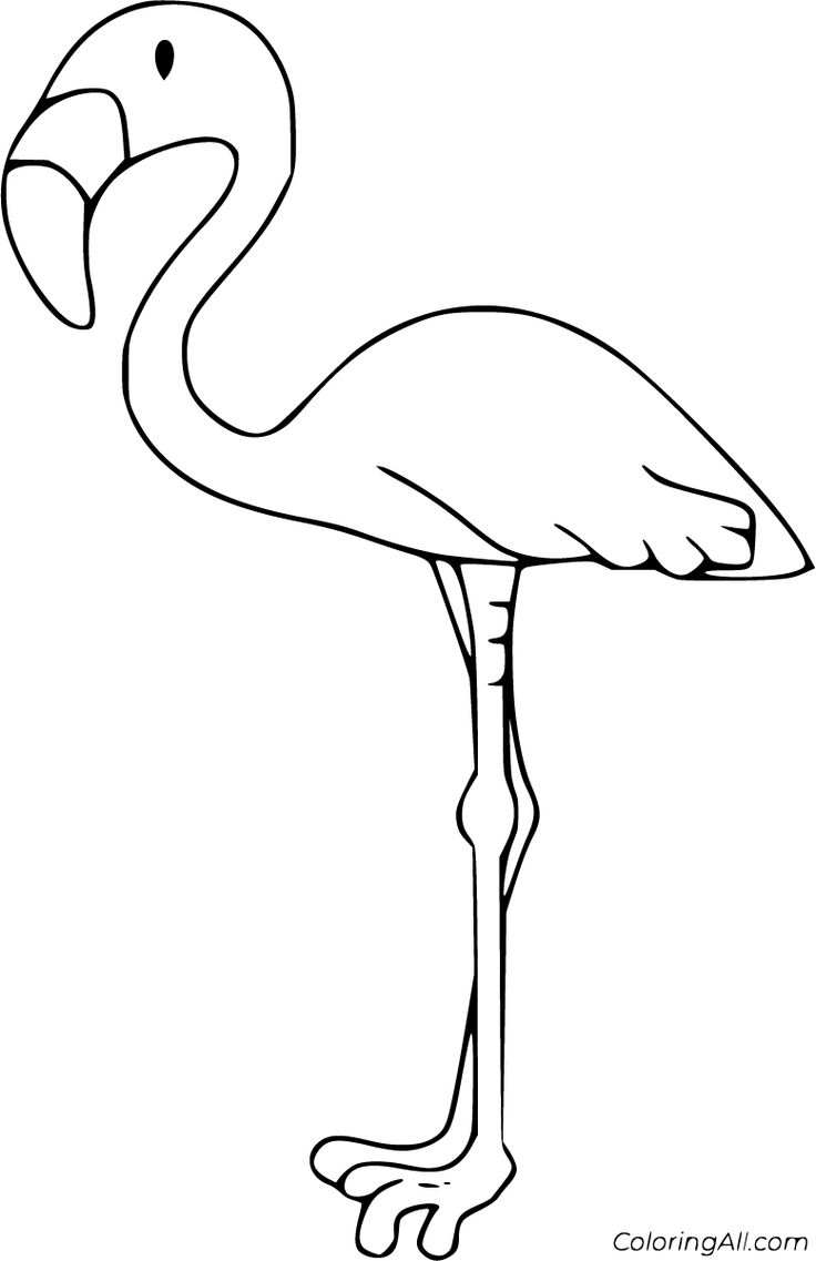 Free printable flamingo coloring pages in vector format easy to print from any device and automatâ flamingo coloring page coloring pages bird coloring pages