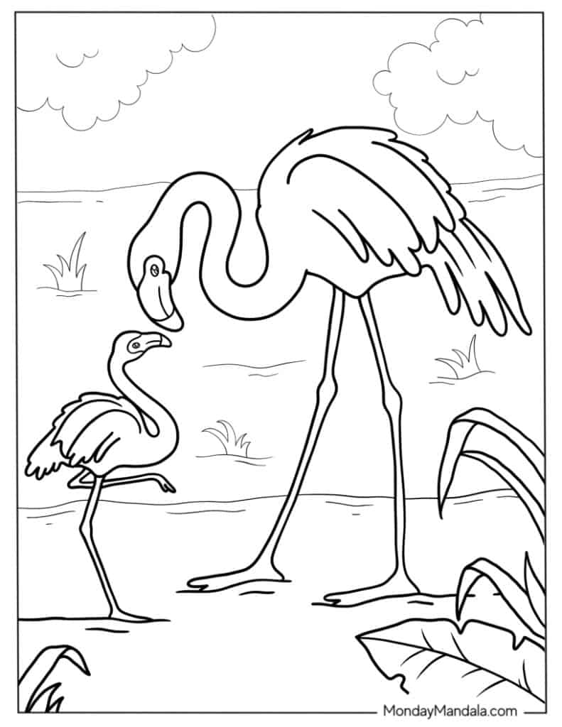 Flamingo coloring pages free pdf printables