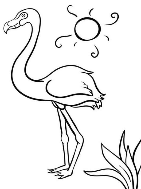 Flamingo and sun coloring page