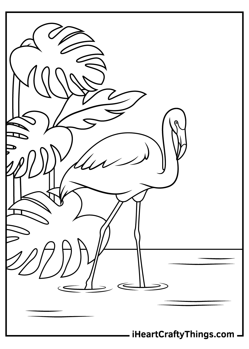 Flamingos coloring pages free printables