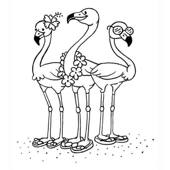 Colorful flamingo coloring pages