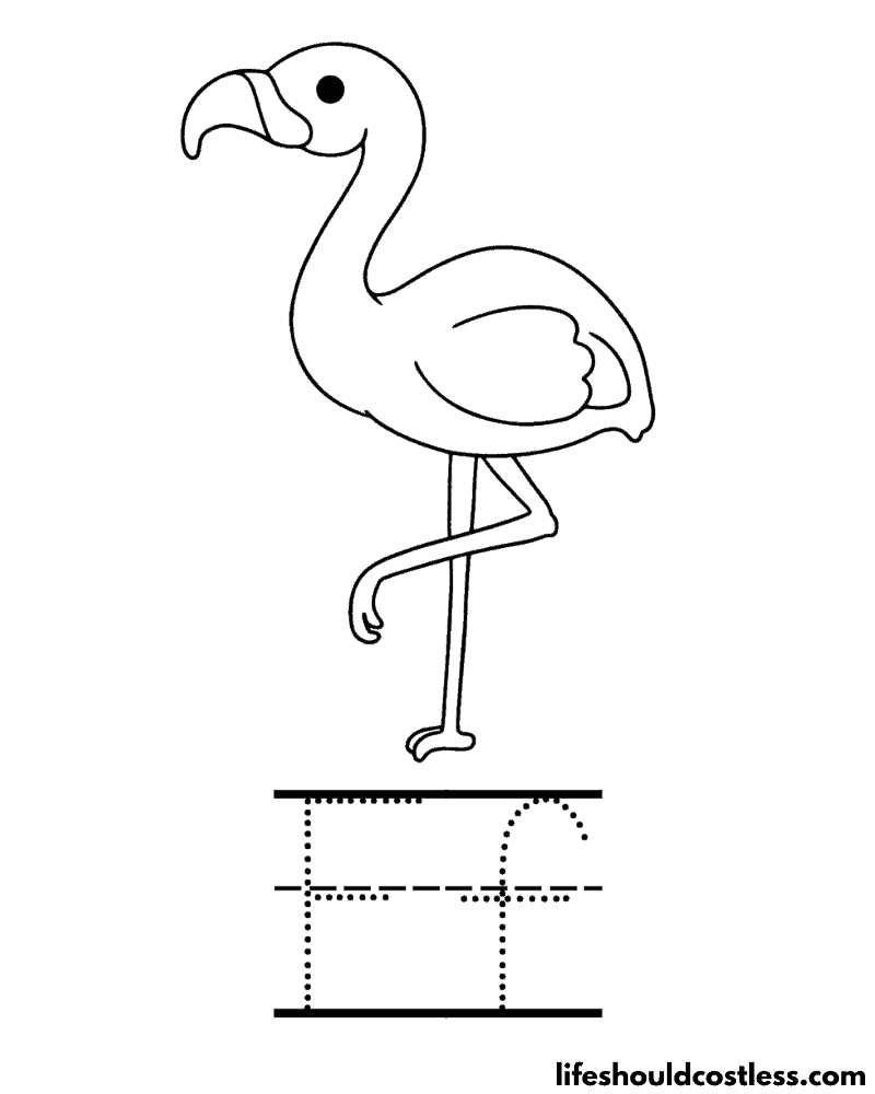 Flamingo coloring pages free printable pdf templates