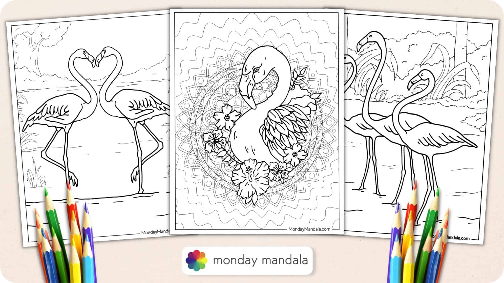 Flamingo coloring pages free pdf printables